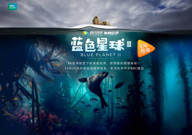 里番acg火影纲手蜜熟姬剧照3